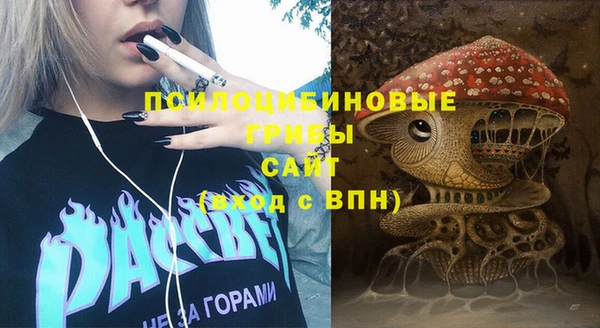 apvp Михайлов