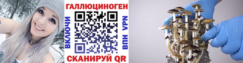 Галлюциногенные грибы GOLDEN TEACHER  Красноярск 