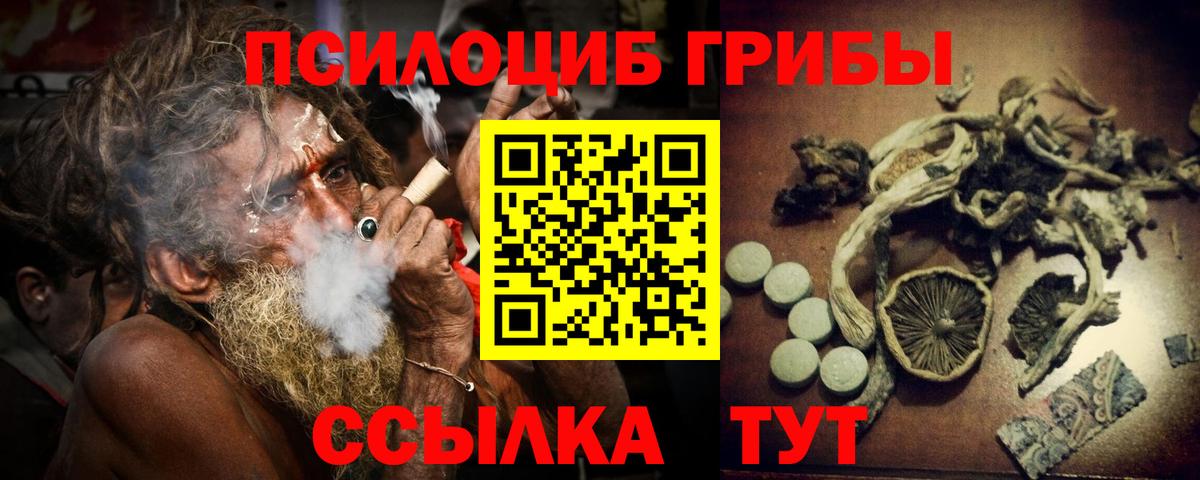 Красноярск  Псилоцибиновые грибы прущие грибы  Вход с VPN 