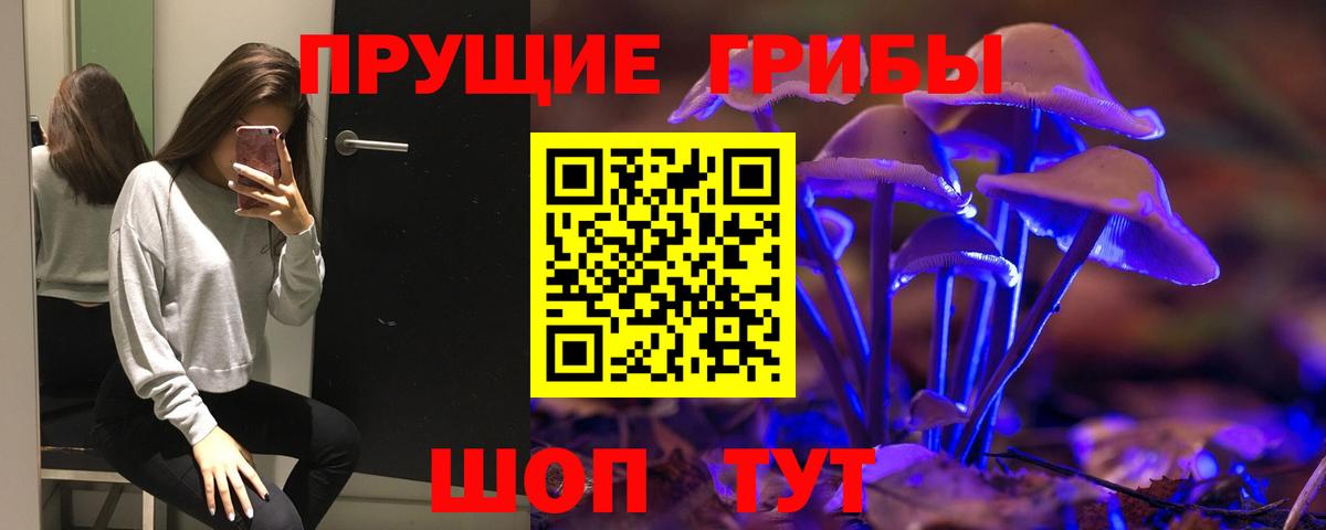 Псилоцибиновые грибы Psilocybe  Псилоцибиновые грибы GOLDEN TEACHER  Красноярск 