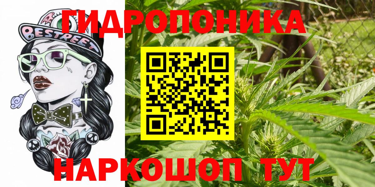 Красноярск  Каннабис OG Kush  Бошки Шишки SATIVA & INDICA  Шишки марихуана сатива  Вход с VPN 